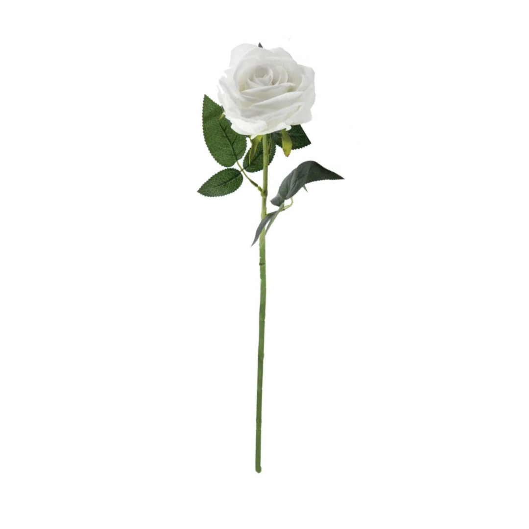 WHITE ROSE